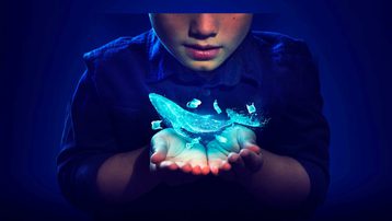 A boy has a magical whale floating in his hands. The whale is a pale see through colour and the light from the whale is lighting up the boy's face. up.
